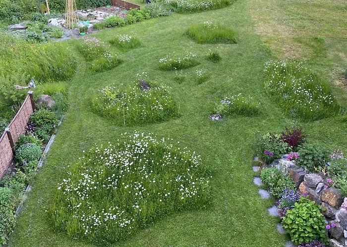 Bergwohl Lägenhet Grindelwald